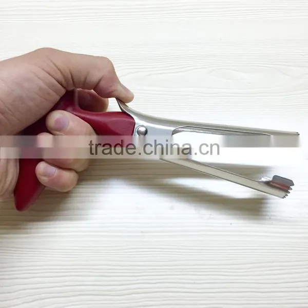 Hot Selling Food Grade Smart Design Apple Corer photo-4