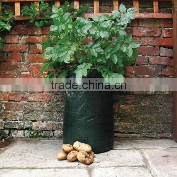 Tomato Grow Bag Planter, Handle or Without Handle Tomato Grow Bag Planter photo-3