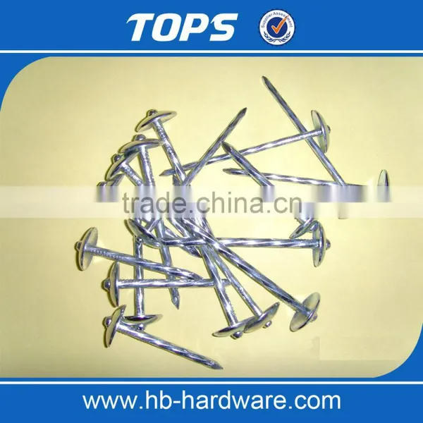 China Twisted/Smooth Shank Umbrella Head Roofing Nails Factory photo-2