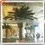 Hot Sale Artificial Decorative Metal Palm Trees photo-3