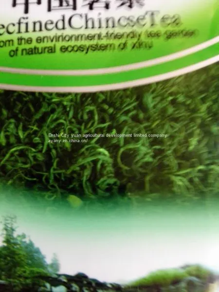 The Supply of China's Advanced Green Tea, Enshi Natural Selenium, Selenium Rich Tea, Health Tea, From the East of a Uniq photo-2