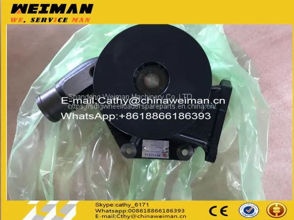 High Quality LG936L LG958L Wheel Loader Engine Spare Parts 4110003187001 WATER PUMP