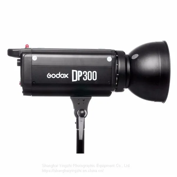 Godox DP300 Photography Studio Strobe Flash Light Power 110V/220V Light Lamp Head For Camera Studio photo-4
