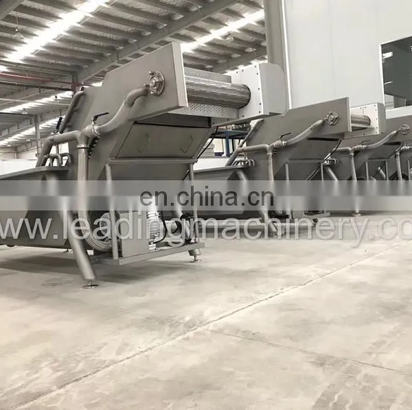 Technology Bubble Fruit Washing and Sorting Machine photo-2