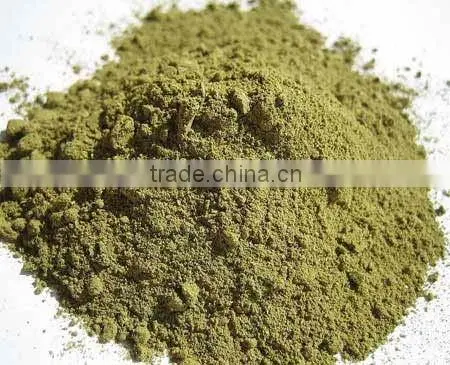 Premium Grade Cissus Quadrangularis Powder Sales And Export photo-6