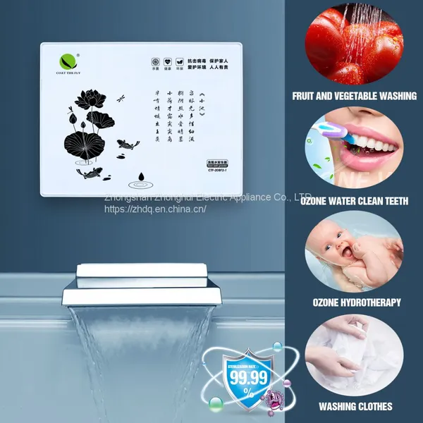 Wall Mounted Ozone Water Generator for Washing Clothes, Bathroom, Hotel, Kitchen, Food, Fruit Vegetable Ozone Water Washing Steril photo-2