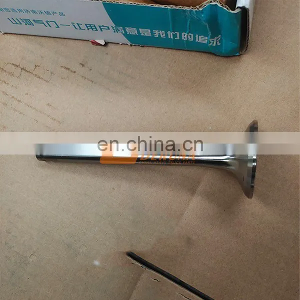 Hot Product SINOTRUK HOWO Truck D12 Engine Assembly VG1246050021/22 Intake And Exhaust Valve photo-4