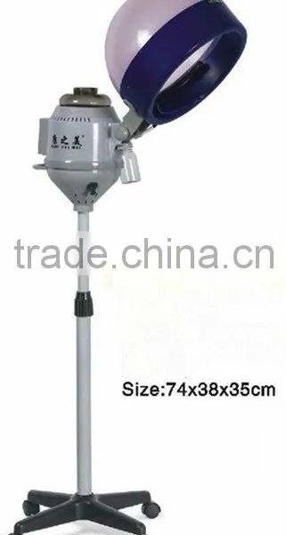 Beiqi salon equipment hair steamer