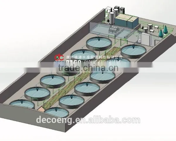 DECO Recirculating Aquaculture System for 1000m3