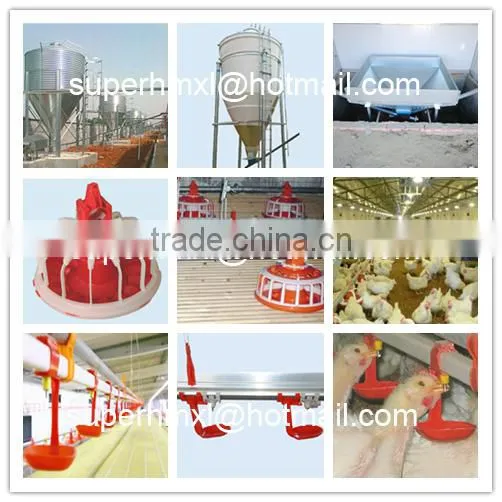 Complete Equipment for Broiler Poultry House photo-2