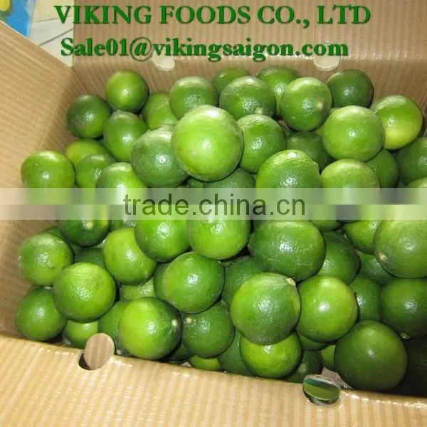 2016 _ FRESH SEEDLESS LIME _ FROM VIETNAM photo-3