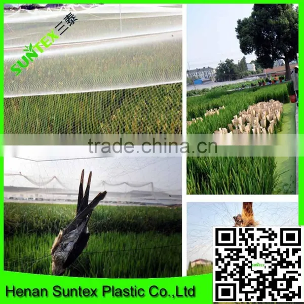 Light Weight Extruded New Hdpe Bird Netting Fruits Tree Covering Trellis Mesh photo-5