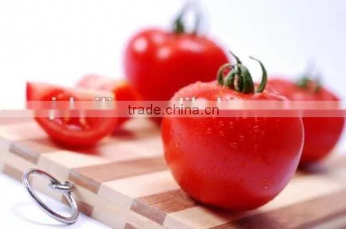Tomato Paste photo-5