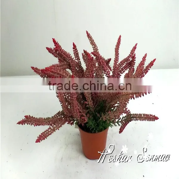 China Supplier Wholesale 2016 New Design Artificial Plant Bonsai for Bonsai With Competitive Price photo-2