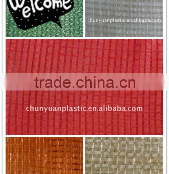 2012 New Mesh Bag
