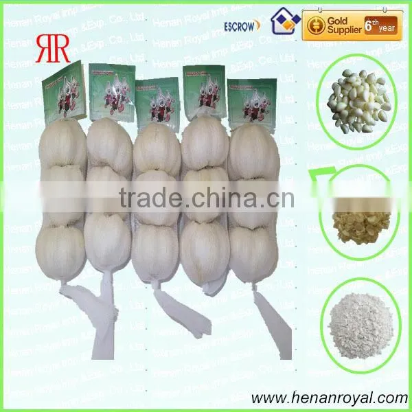 Fresh Red Garlic for Sale