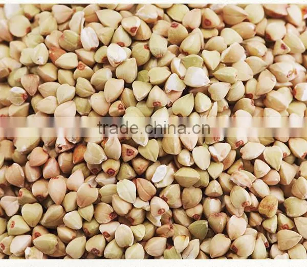 Chinese Non Gmo New Crop Roasted Buckwheat Kernel for Georgia Wholesale photo-5