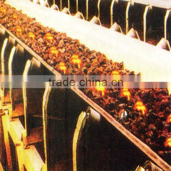 Heat-resistant Conveyor Belt photo-4