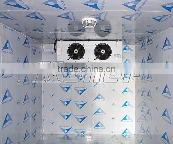 CE Approval Containerised Block Ice Making Plant photo-5
