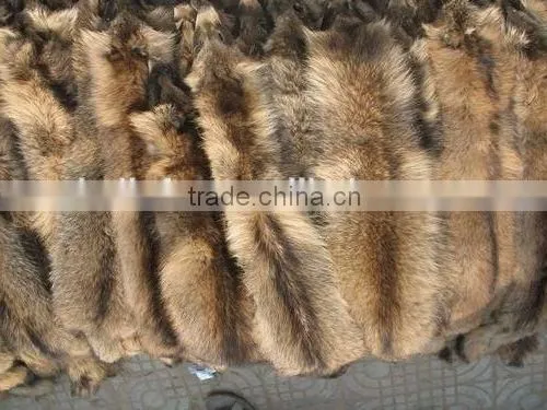 Tanned Raccoon Fur Skin