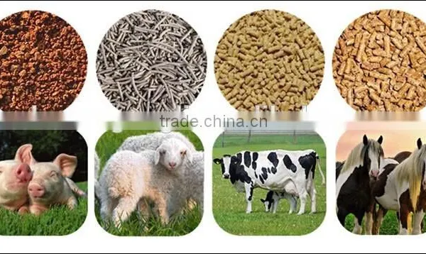 2016 High Quality Minimum Capacity 1-2 Tons per Hour Ring Die Animal Feed Pellet Machine photo-4