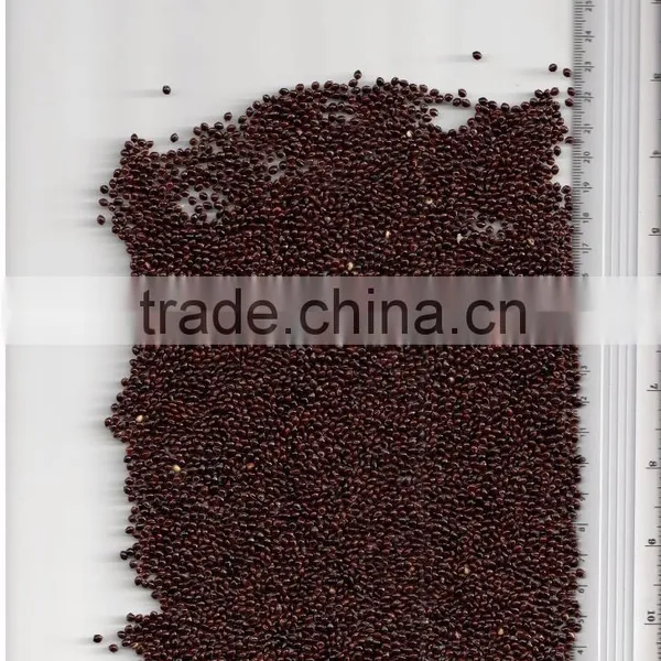 BLACK MILLET