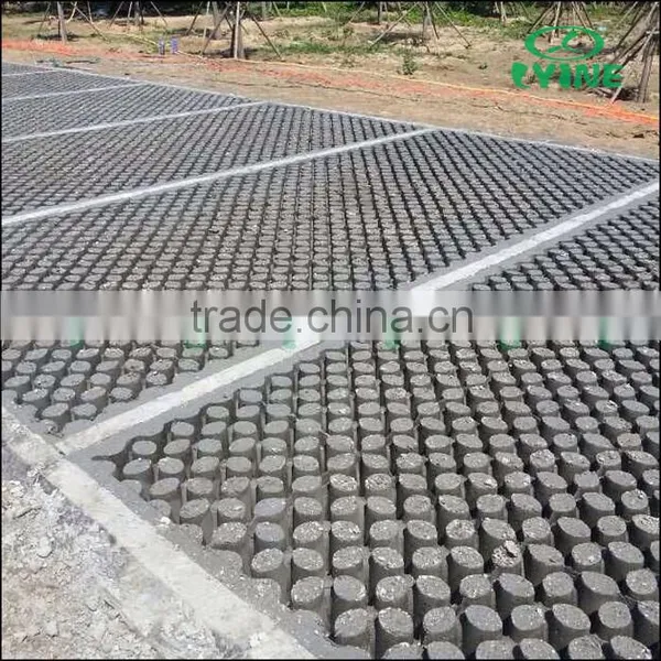 Lyine High Load Cast Concrete Floor Grass Arts Die and Grass Parking photo-4