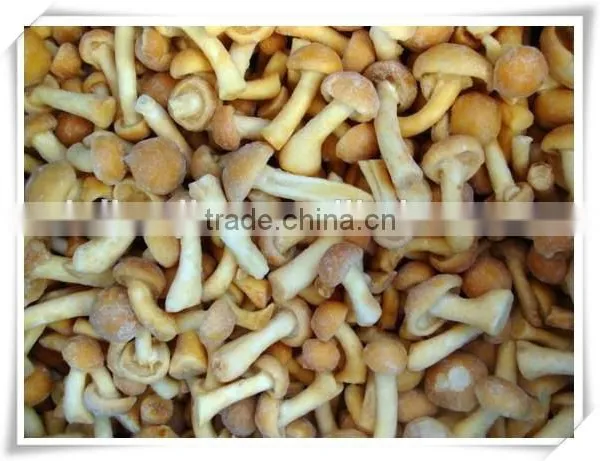 Health Product/nourishment Food /china Food Mushroom photo-5