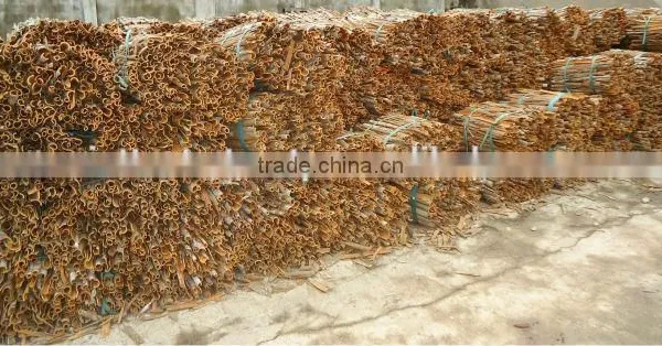 Cassia Split Vietnam Origin photo-5