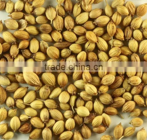 CORIANDER SEEDS photo-3