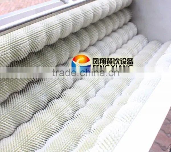 New Condition High Efficency Lotus Root Washer and Peeler (CE Approved) MSTP-500 photo-4