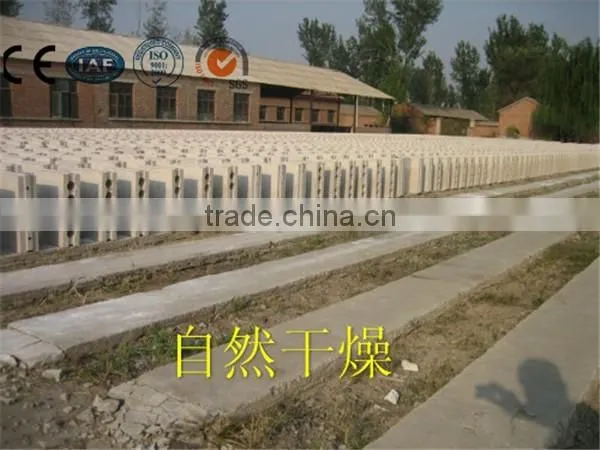 2013 High Strength -plaster Block Production Line From China photo-2