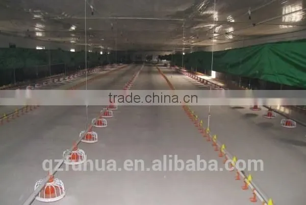 Feeding Line for Poultry photo-6
