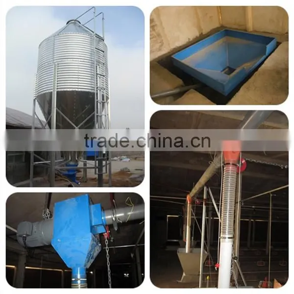 Whole Broiler Chicken Farm Poultry Equipment for Sale photo-2