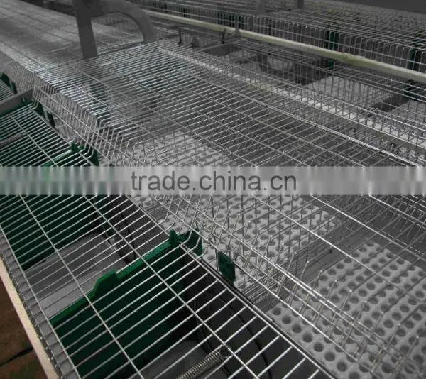 Rabbit Cage photo-5