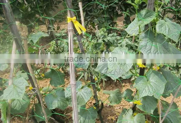 Olive Net & Fruit Nets, Plastic Orange Safety Net, Climbing Plant Support Net photo-6