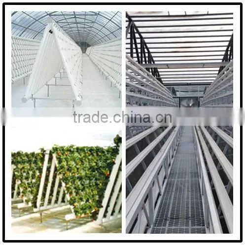 China Factory Greenhouses Structure With Hydroponic System photo-2