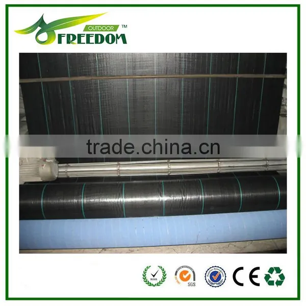 High-quality Plastic Ground Cover for Agriculture photo-3