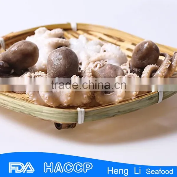 Good Quality Frozen Octopus for Sale photo-2