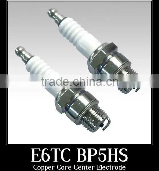 Plug Spark, Spark Plug