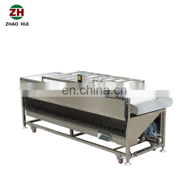 Industrial Automatic Plum Cherry Peach Berry Washer Onion Carrot Chili Pepper Vegetable Brush Roller Washing Machine photo-7