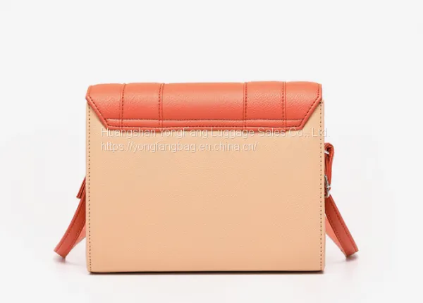 2019 New Slant Bag Star Same Thai Blast Cambridge Bag Bump Color Edron Bag photo-2
