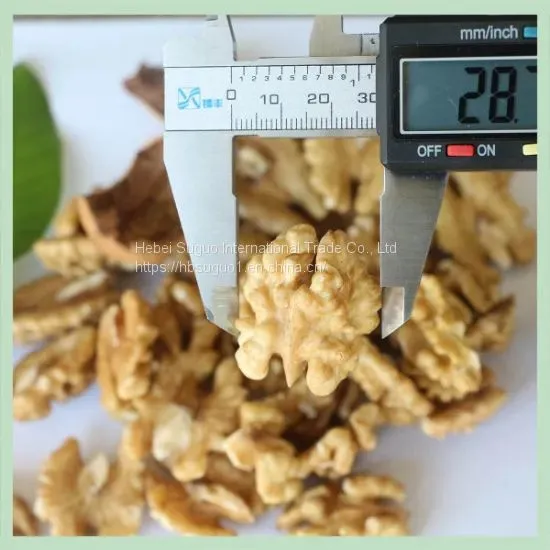 New Crop Dry Walnut Walnuss Nuts Nuss/China Xinjiang/ Walnut Food/ Food Wholesale photo-3