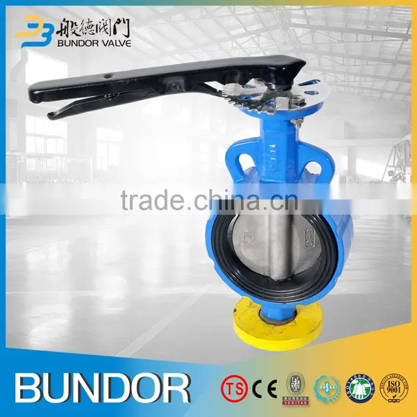 Competitive Price Manufacture Dn250 Hot Sale Butterfly Valves photo-4
