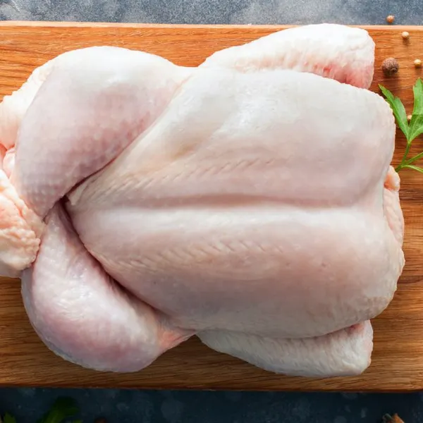 Hot Sale Low Price Frozen Whole Hen Chicken For Sale photo-2