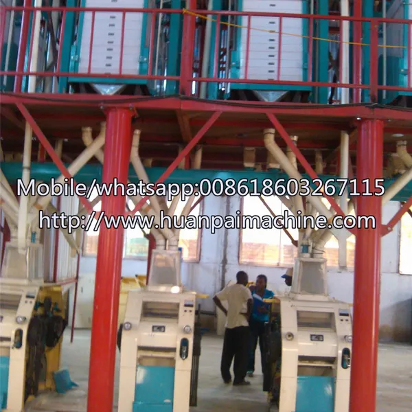 Small 10T 20T 50T Grinder Machine Automatic Maize Corn Grain Milling Machine Grinding Equipment photo-4