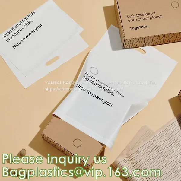 BIODEGRADABLE MAILER, ENVELOPES, STEB BAGS, TEMPER EVIDENT, BANK SUPPLIES, SECURITY, SAFE, DEPOSIT photo-3
