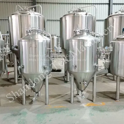 Shandong Tek Stainless Steel 200L Beer Brewery Fermentation Tank for Sale photo-2