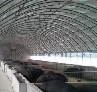Black White Greenhouse Film Light Deprivation Poly Film Agriculture Blackouts Film photo-2
