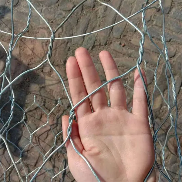 Customized PVC Coated Gabion for Erosion Control 60*80mm Mesh Size photo-3